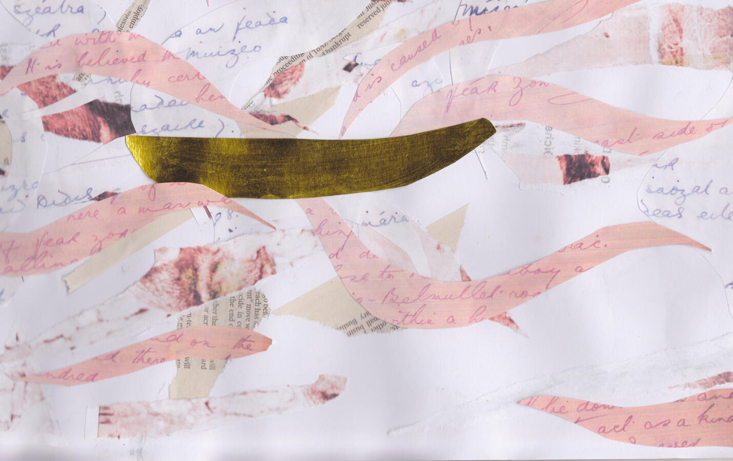 Section view : anam órga